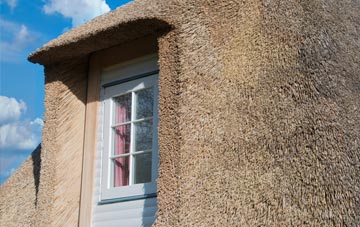 Bramblecombe thatch roof disadvantages